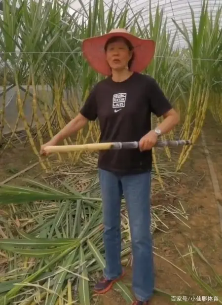 学到了（整蛊闺蜜假怀孕）整蛊闺蜜的套路文案 第4张